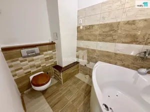 Pronájem bytu 2+kk, Stanovice - Hlinky, 69 m2