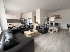Prodej bytu 1+kk, Zlín, Lorencova, 43 m2