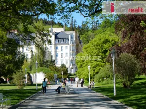 Pronájem bytu 2+kk, Mariánské Lázně, Ibsenova, 240 m2