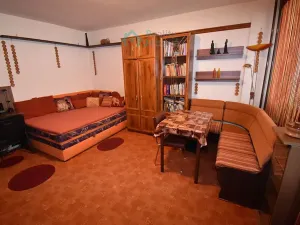 Pronájem bytu 1+1, Chrudim, U Stadionu, 36 m2