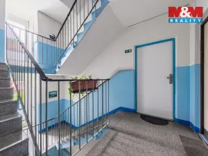 Prodej bytu 3+1, Kraslice, Družstevní, 62 m2