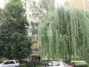 Prodej bytu 4+1, Ostrava - Hrabůvka, Alberta Kučery, 68 m2