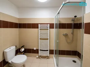 Pronájem bytu 1+1, Česká Lípa, Svojsíkova stezka, 46 m2