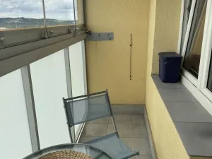 Prodej bytu 1+kk, Ostrava - Moravská Ostrava, Lechowiczova, 27 m2