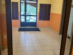 Prodej bytu 1+kk, Ostrava - Moravská Ostrava, Lechowiczova, 27 m2