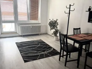 Prodej bytu 1+kk, Ostrava - Moravská Ostrava, Lechowiczova, 27 m2