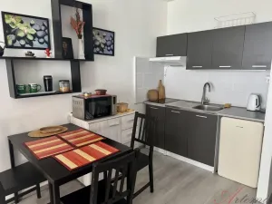 Prodej bytu 1+kk, Ostrava - Moravská Ostrava, Lechowiczova, 27 m2
