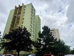 Prodej bytu 1+kk, Ostrava - Moravská Ostrava, Hornopolní, 27 m2