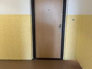 Prodej bytu 1+kk, Ostrava - Moravská Ostrava, Hornopolní, 27 m2