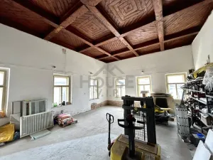 Prodej obchodního prostoru, Hořany, 452 m2