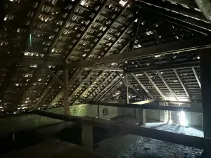 Prodej obchodního prostoru, Hořany, 452 m2