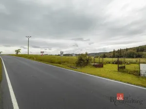 Prodej zahrady, Koloveč, 722 m2