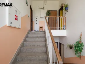 Prodej bytu 3+1, Litvínov - Horní Litvínov, Vinohradská, 62 m2