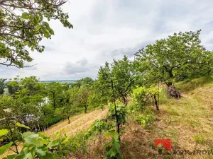 Prodej pozemku pro bydlení, Žalhostice, 2627 m2
