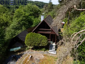 Prodej chaty, Svojšín, 55 m2