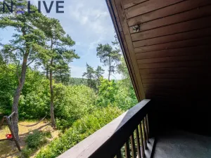 Prodej chaty, Svojšín, 55 m2