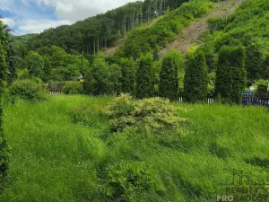 Pronájem zahrady, Šternberk, 300 m2