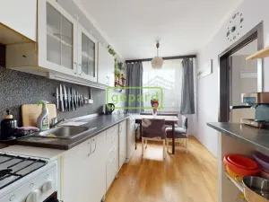 Prodej bytu 2+1, Ústí nad Labem - Krásné Březno, Anežky České, 53 m2