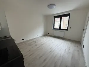 Pronájem bytu 1+kk, Praha - Krč, U strže, 25 m2