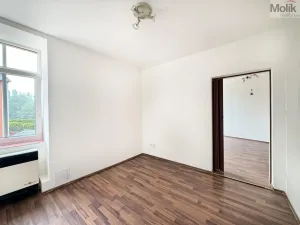 Pronájem bytu 2+1, Háj u Duchcova, Kubátova, 65 m2