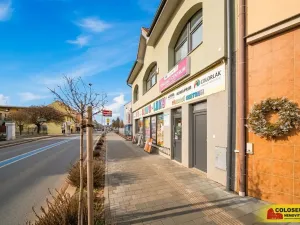 Prodej obchodního prostoru, Pohořelice, 350 m2