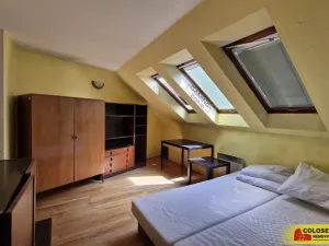 Prodej obchodního prostoru, Pohořelice, 350 m2