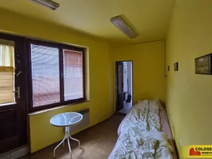 Prodej obchodního prostoru, Pohořelice, 350 m2