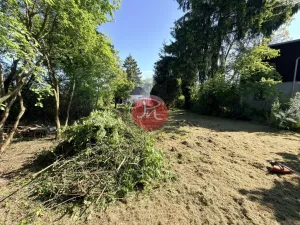 Prodej chalupy, Svojetice, Slepá, 90 m2