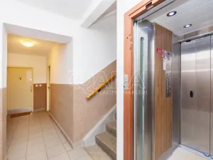 Prodej bytu 1+kk, Tábor, Budějovická, 24 m2