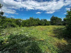 Prodej zemědělské usedlosti, Hulín - Chrášťany, 370 m2