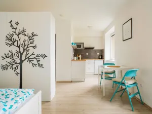 Prodej bytu 1+kk, Staré Město - Stříbrnice, 30 m2