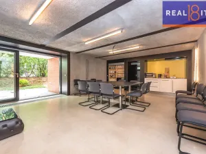 Pronájem vily, Praha, U Hadovky, 400 m2