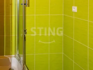 Pronájem bytu 1+1, Karviná, Borovského, 36 m2
