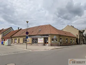 Prodej komerční nemovitosti, Prostějov, Wolkerova, 300 m2