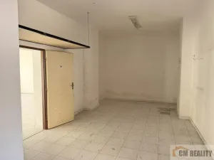Prodej komerční nemovitosti, Prostějov, Wolkerova, 300 m2