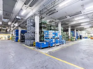Pronájem výrobních prostor, Písek - Budějovické Předměstí, U Vodárny, 6421 m2