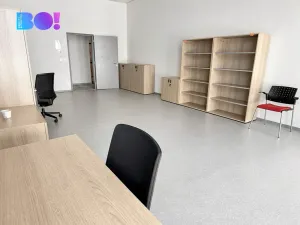 Pronájem kanceláře, Praha, U vinných sklepů, 41 m2