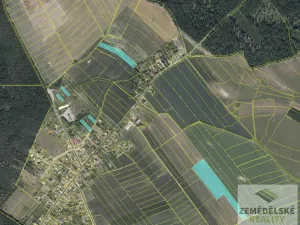 Prodej pole, Němčice, 38750 m2