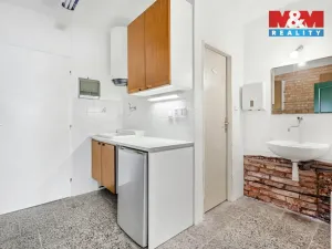 Prodej rodinného domu, Ústí nad Labem - Krásné Březno, Plavecká, 172 m2