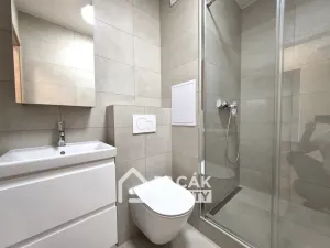 Pronájem bytu 1+1, Olomouc, Hraniční, 35 m2
