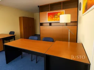 Prodej vícegeneračního domu, Písek, V Koutě, 786 m2