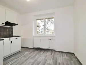 Prodej bytu 1+1, Teplice, Ruská, 30 m2