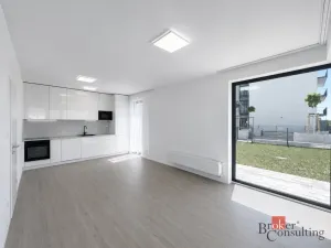 Pronájem bytu 2+kk, Plzeň - Jižní Předměstí, Železná, 55 m2
