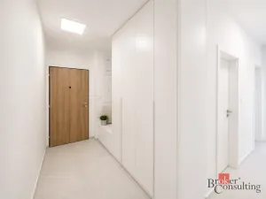 Pronájem bytu 2+kk, Plzeň - Jižní Předměstí, Železná, 55 m2