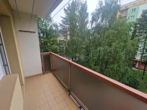 Pronájem bytu 3+1, Kopřivnice, Družební, 63 m2