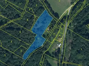 Prodej louky, Černá Voda, 4533 m2