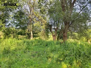 Prodej pozemku pro bydlení, Malá Morava, 1039 m2