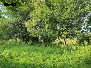 Prodej pozemku pro bydlení, Malá Morava, 1039 m2