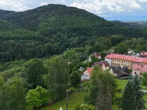 Prodej louky, Oloví, Horní, 420 m2