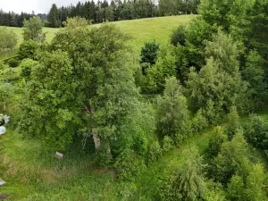 Prodej louky, Oloví, Horní, 420 m2